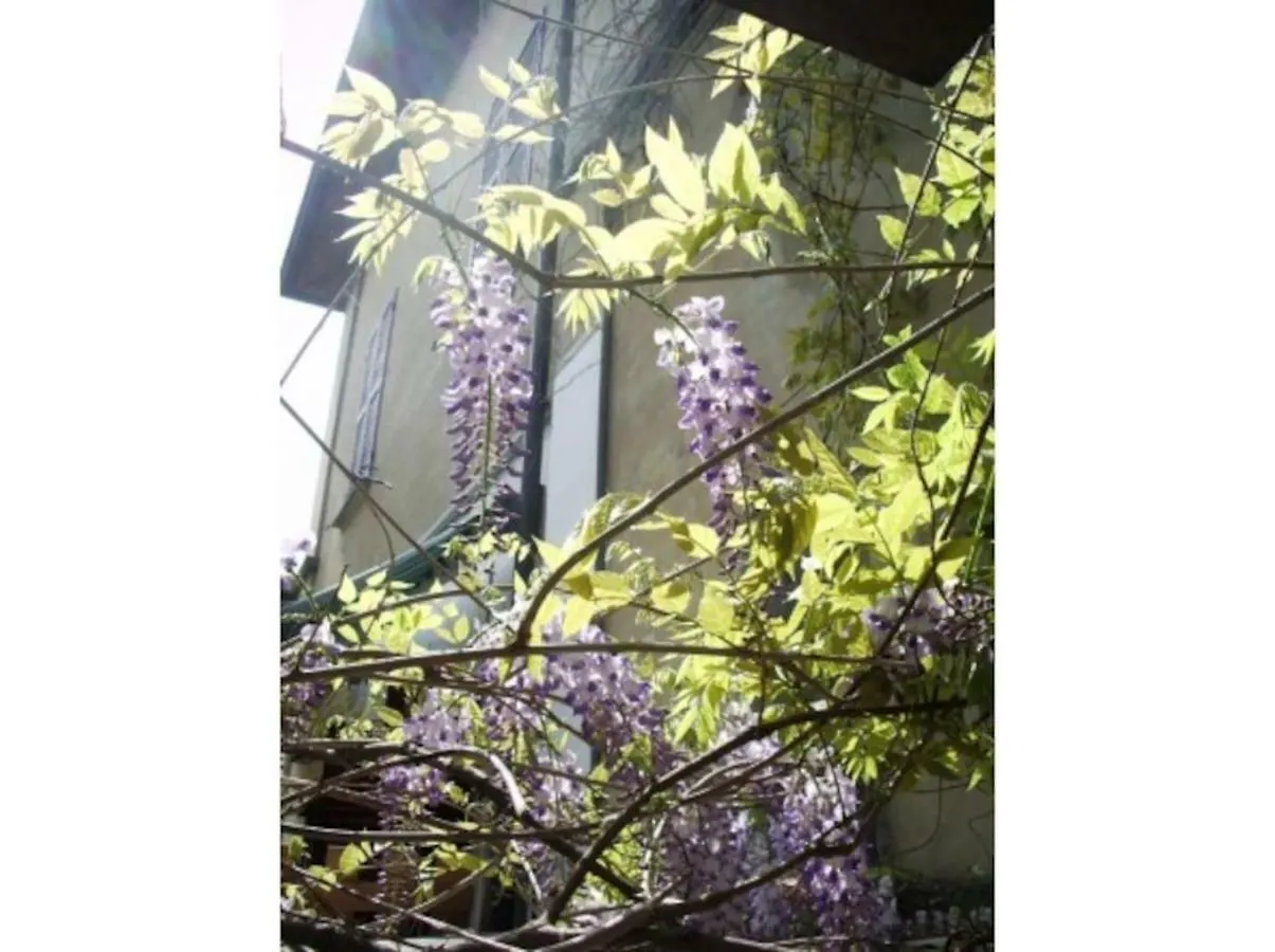 Il Glicine Apartment Rimini