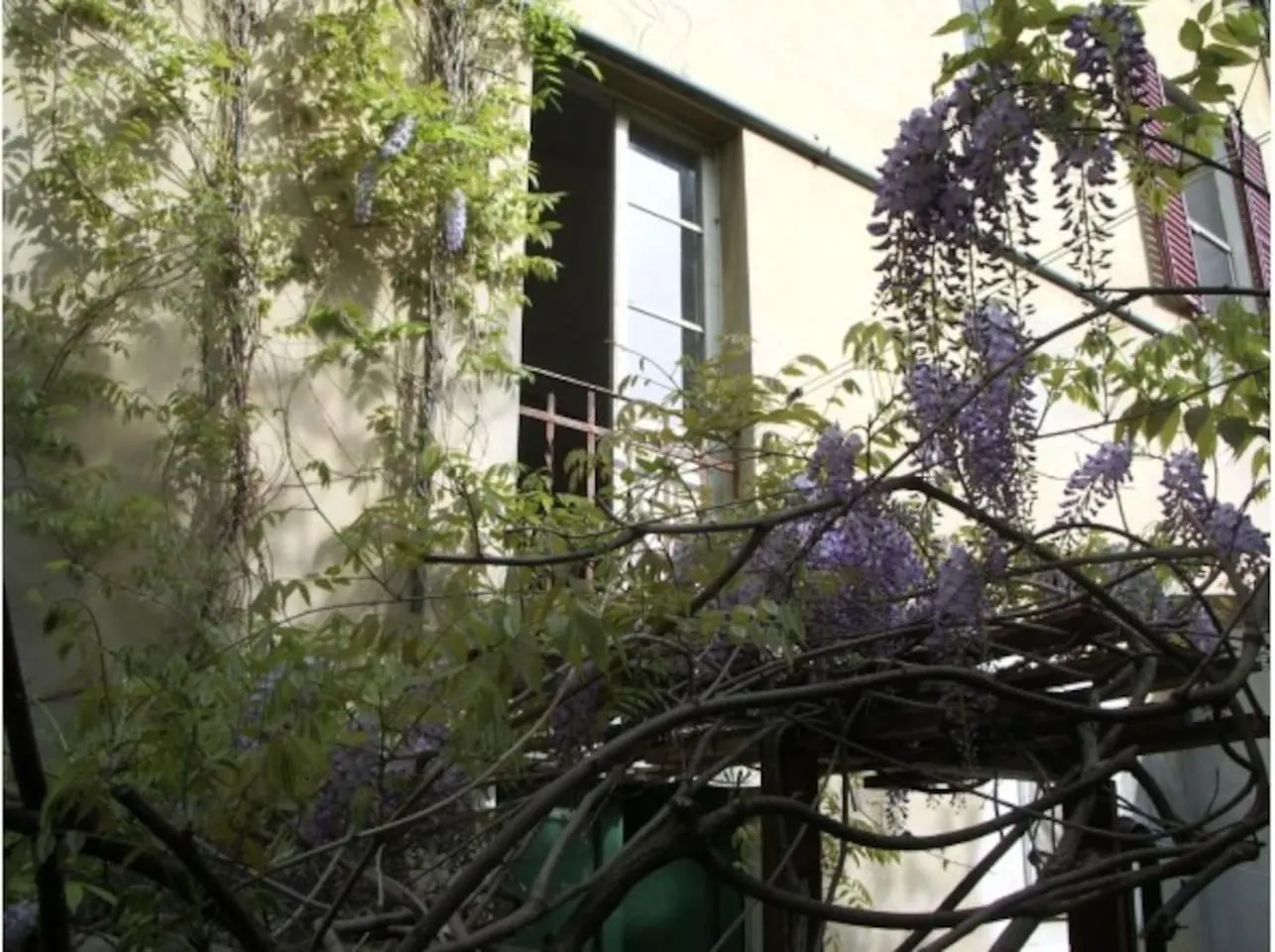 Il Glicine Apartment Rimini